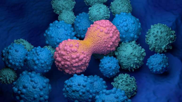 O c&acirc;ncer &eacute; mais prevalente em pessoas mais velhas devido a fatores biol&oacute;gicos, ambientais e de estilo de vida