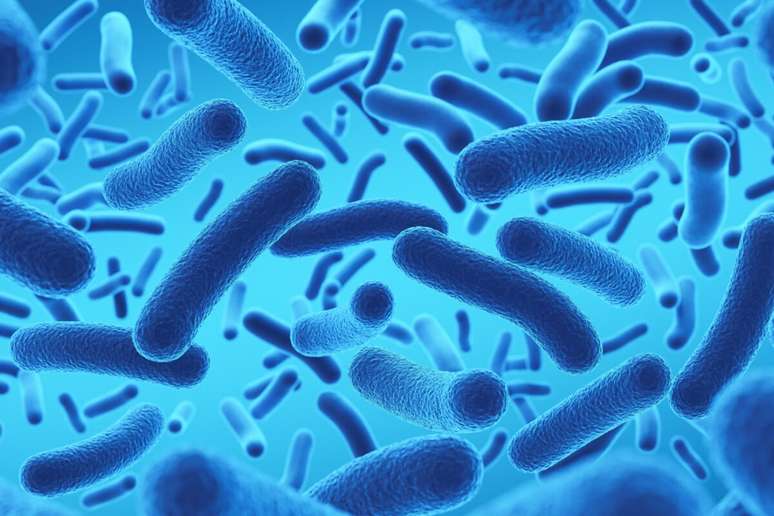 As gastroenterites podem ser causadas por bactérias 