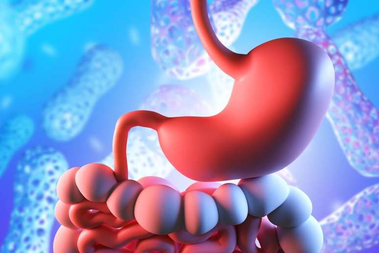 O calor intenso e as aglomerações durante o Carnaval favorecem a proliferação de bactérias que podem causar a gastroenterite