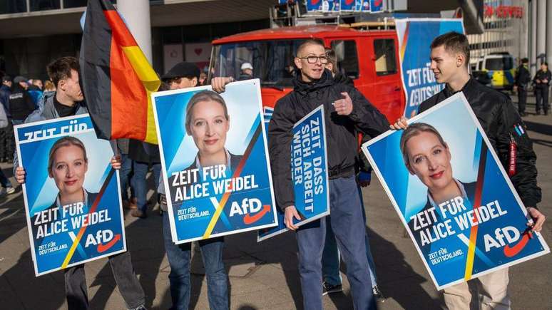 Sondagens e estudos de opini&atilde;o revelaram que a AfD n&atilde;o s&oacute; obteria um n&uacute;mero significativo de votos entre os eleitores mais velhos, mas tamb&eacute;m entre os jovens