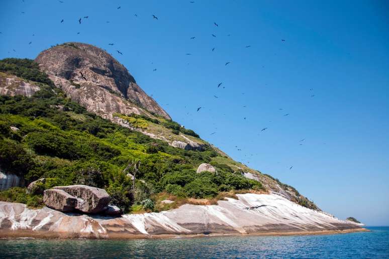 Alcatrazes tem mar cristalino e é habitado por mais de 1.300 espécies diferentes 