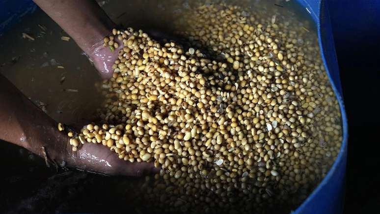 A soja cont&eacute;m mais prote&iacute;na do que os ovos, proporcionalmente ao seu peso