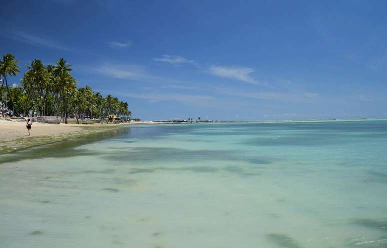 Green Ponta Beach Green Ponta Beach
