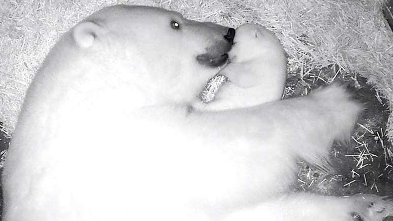 Aurora, à esquerda, deita ao lado de Nur