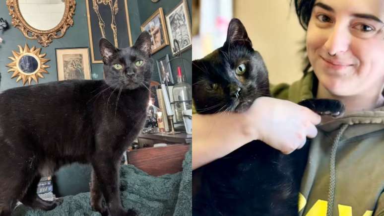 Esta hist&oacute;ria aconteceu recentemente e, felizmente, Ravi j&aacute; est&aacute; sendo amado em um lar, mas trouxemos aqui para voc&ecirc; se derreter conosco