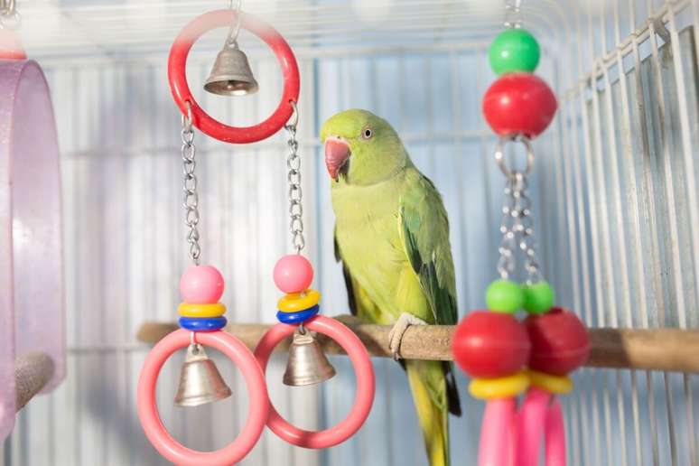 O enriquecimento ambiental ajuda a criar um ambiente parecido com o habitat natural dos animais 