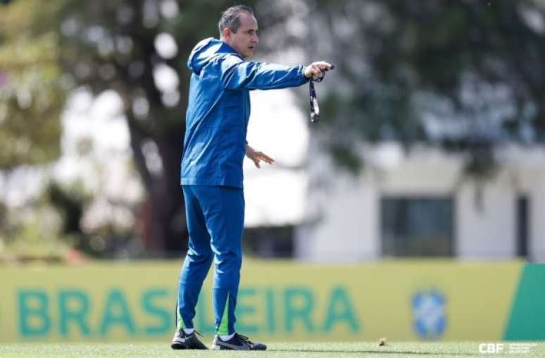 Brasil é o atual campeão sul-americano da categoria –