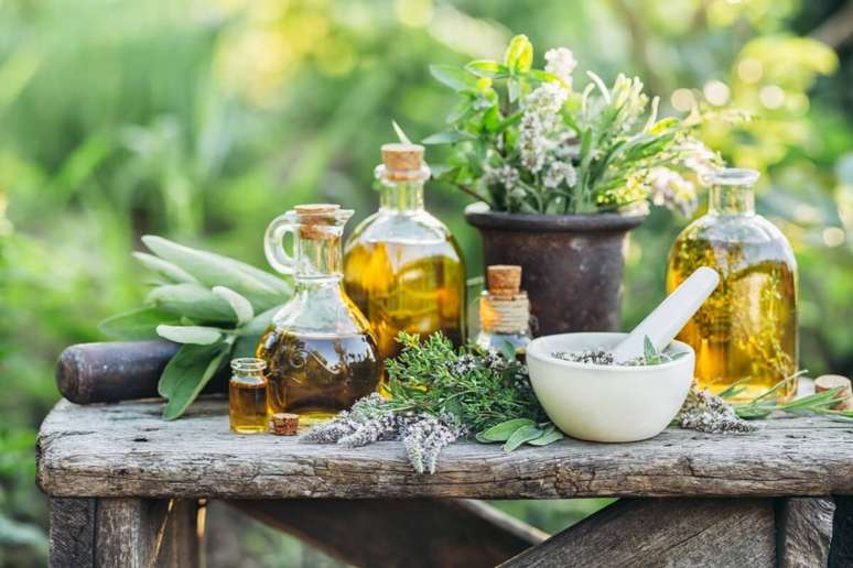 6 beneficial plants for the health of women in menopause