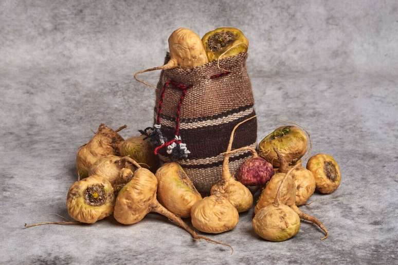 Maca Peruvian has aphrodisiac and energy effects Maca Peruvian has aphrodisiac and energy effects