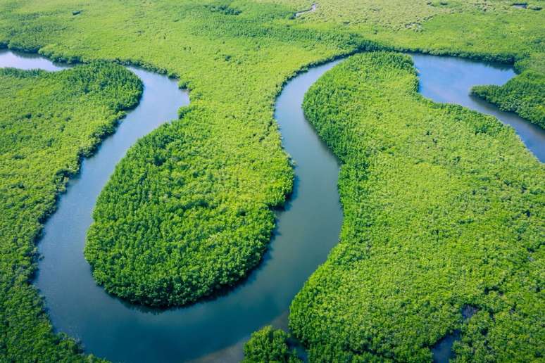 O Brasil tem a maior bacia fluvial mundial