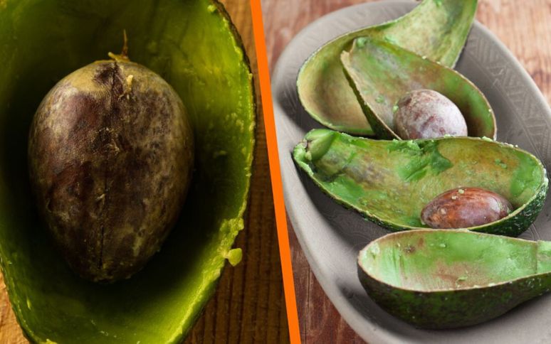 পালদার মেক্সিকোতে সরাসরি
