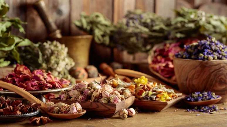 Menopause: 10 plants that help improve symptoms