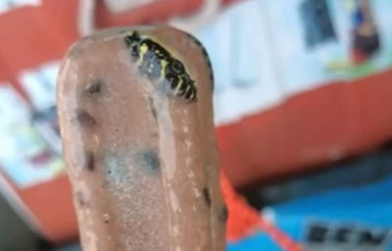 Faigheann fear nathair nimhiúil i bpopsicle a ceannaíodh sa Téalainn