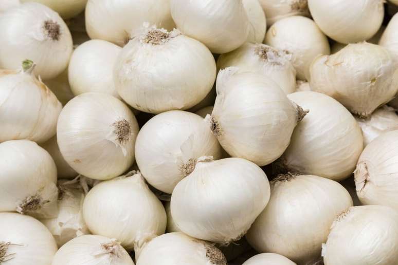 7 types of onion to be used in recipes