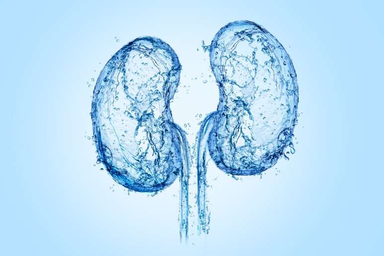 See symptoms and how to prevent kidney cancer