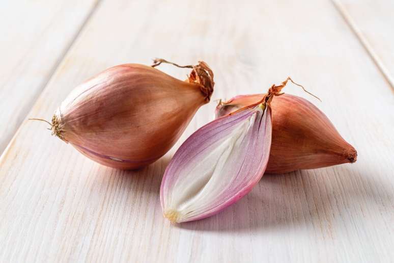 The onion of the canal is smaller than the others and has a sweet taste The onion of the canal is smaller than the others and has a sweet taste