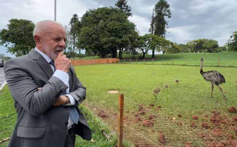 O presidente Lula visitando local onde ficam as emas no Alvorada