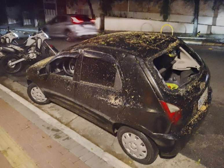 Carro atingido pela árvore teve quase todos os vidros quebrados por inteiro.