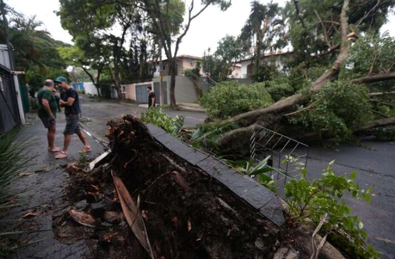 এস্পেরান্টো স্ট্রিটে গাছের পতন, এসপি এর পশ্চিম জোনে।