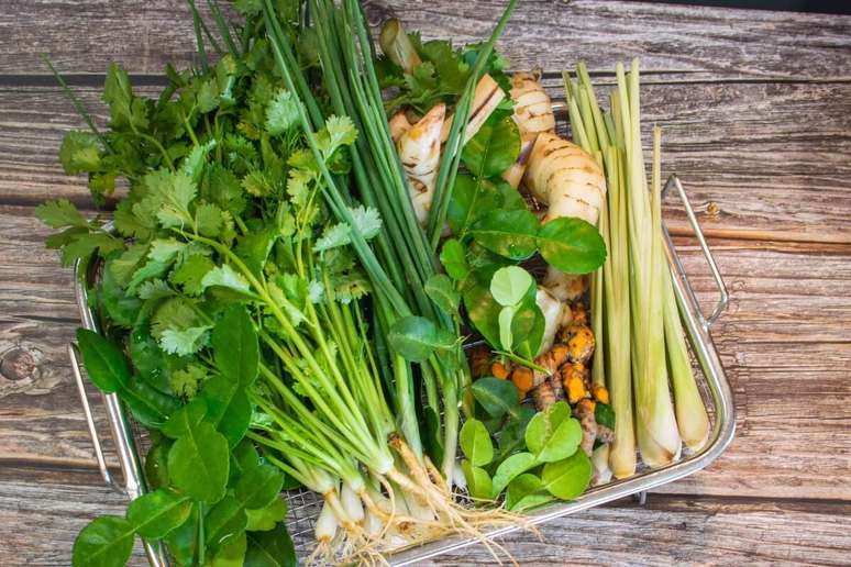 As ervas ajudam a elevar o sabor das receitas