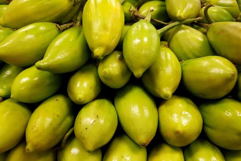 Amplamente produzido no Brasil, o jiló é rico em nutrientes que oferecem inúmeros benefícios para o corpo