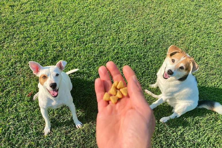 Snack's offer should be controlled to avoid weight gain and health problems Snack's offer should be controlled to avoid weight gain and health problems
