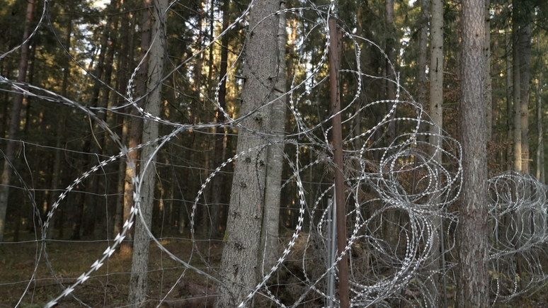 Imigrantes usam escadas e alicates para cruzar a cerca de arame farpado instalada pela Polônia em 2022