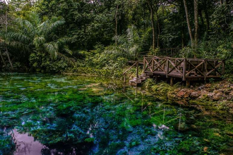 A Nascente Azul tem &aacute;guas tranquilas e a flutua&ccedil;&atilde;o pode ser feita por crian&ccedil;as e idosos 