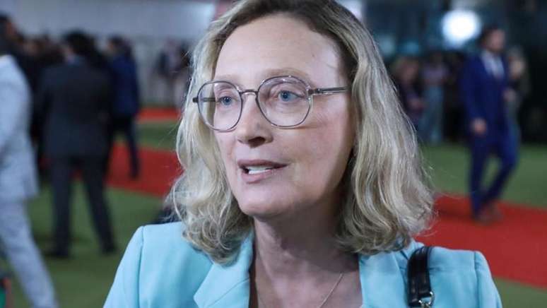 A deputada federal Maria do Ros&aacute;rio (PT-RS) criou o projeto de lei no Brasil