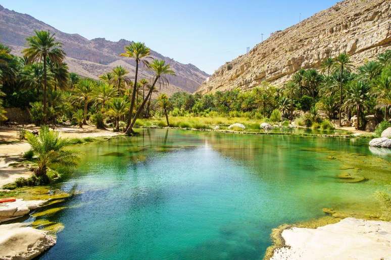 De &aacute;gua cristalina e azul-turquesa, o o&aacute;sis Wadi Bani Khalid tem vegeta&ccedil;&atilde;o no meio do deserto