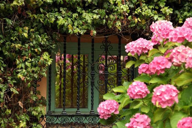 A garden wall