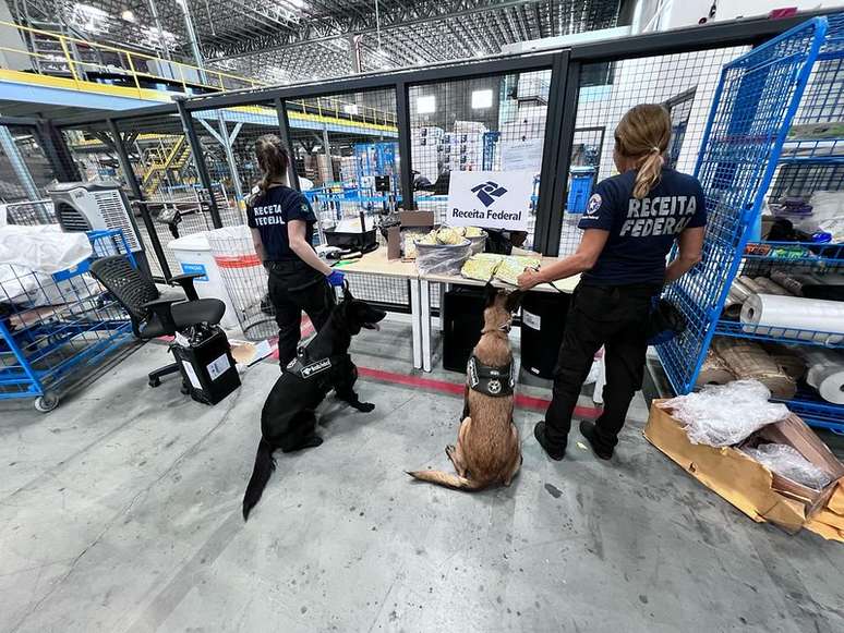 Cães farejadores auxiliaram na operação