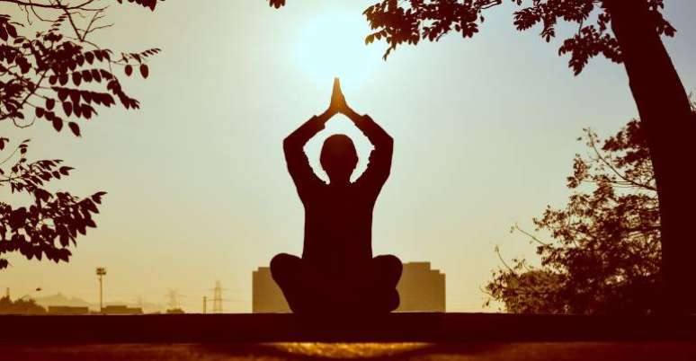 Meditation and emotions: control of anger and toxic thoughts