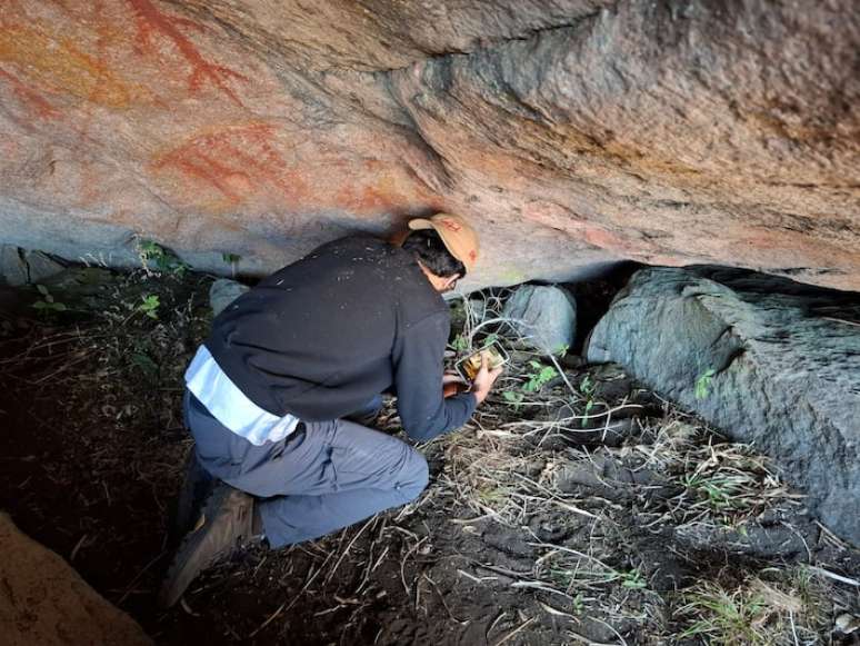 Pesquisador analisa as pinturas, entre elas a figura de um lagarto, visto de cima.