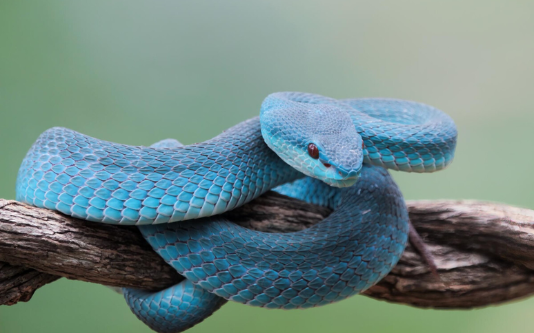 Xataka M&eacute;xico