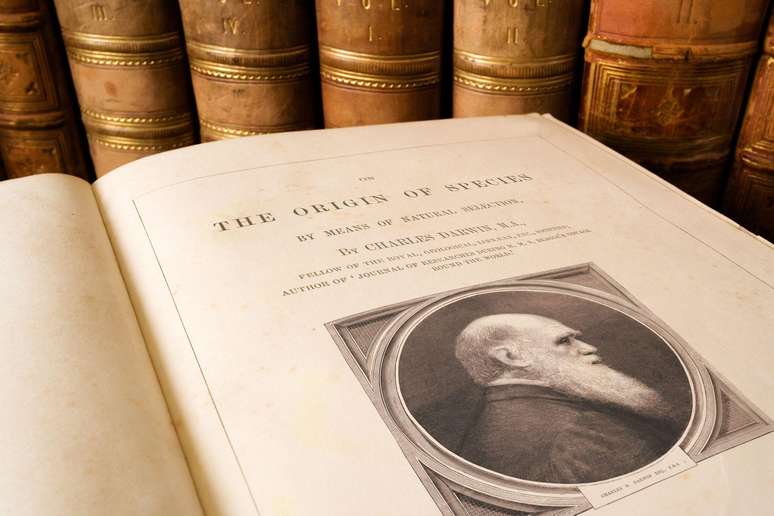 Apesar de ter sido publicado em 1859, o livro A Origem das Esp&eacute;cies e a obra de Darwin passaram a enfrentar mais resist&ecirc;ncia dos fundamentalistas ap&oacute;s a Primeira Guerra