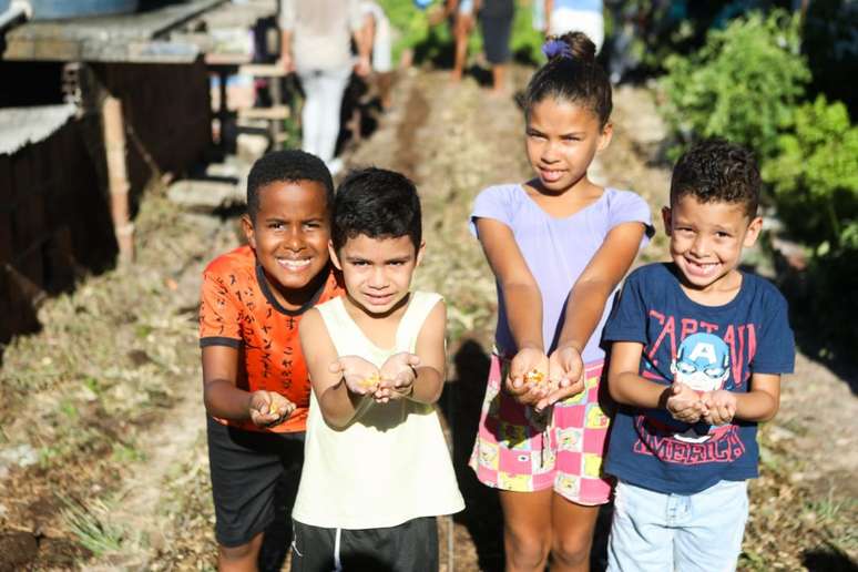 Plantio de milho caboclo juntou crianças no Ibura, periferia do Recife (PE). Colheita está prevista para as festas juninas.
