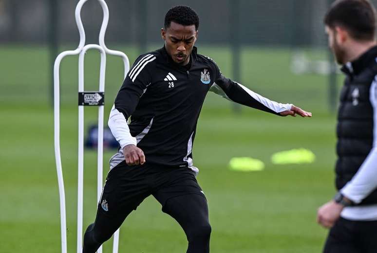 Newcastle almeja classifica&ccedil;&atilde;o para Champions League-