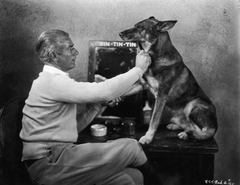 Rin Tin Tin 