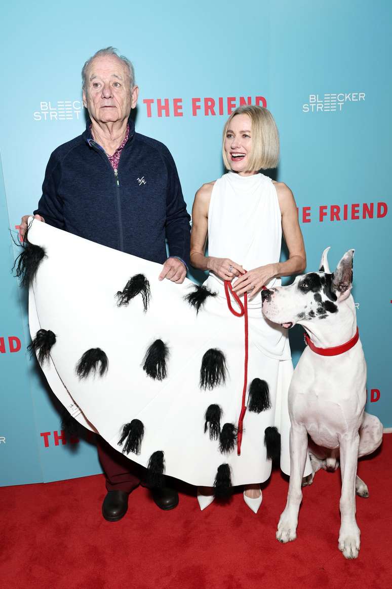 Meu Companheiro Fiel 