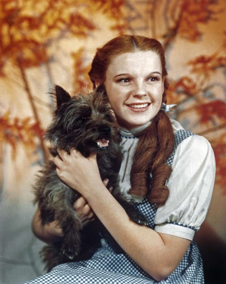 Terry e Judy Garland, que interpretam Tot&oacute; e Dorothy 