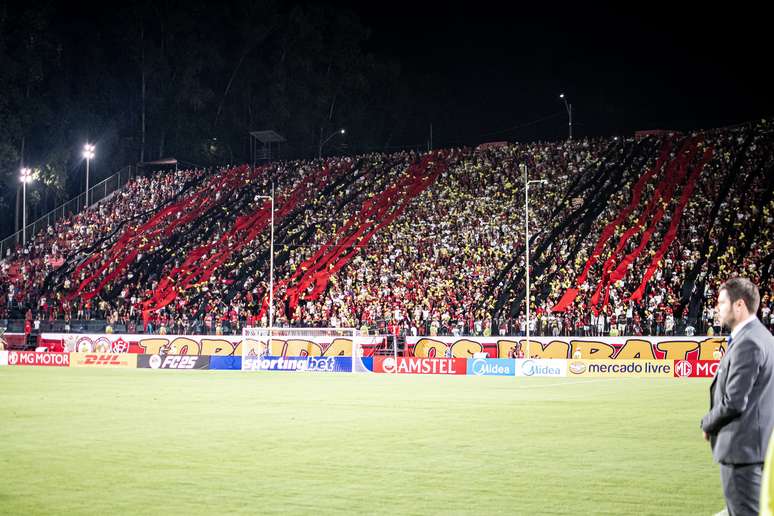 ভিটরিয়ার উল্লাস। 