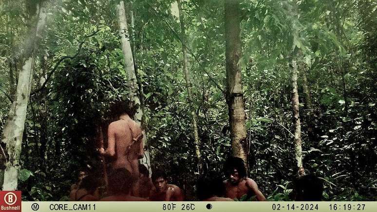Os indígenas que a armadilha fotográfica registrou em 2024 eram, em sua maioria, jovens