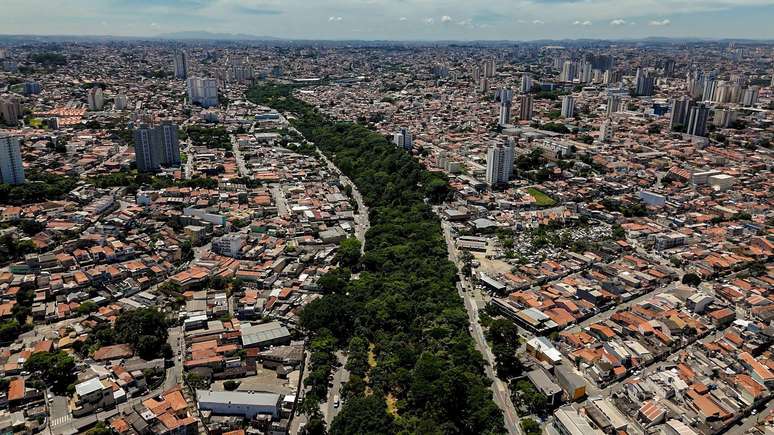 Silva pretende instalar pequenas bibliotecas no parque &mdash; e vai &agrave;s escolas para incentivar uma nova gera&ccedil;&atilde;o de plantadores de &aacute;rvores