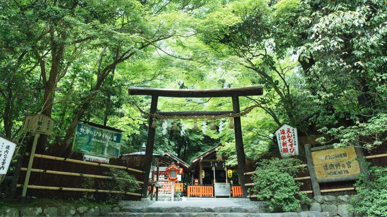 Já que o Japão possui muito respeito pela natureza, a nação transplanta árvores quando precisa realizar obras públicas