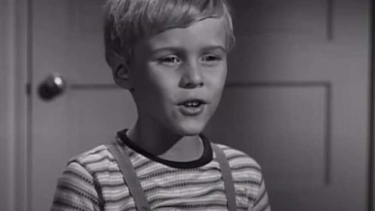 Jay North, conhecido por seu papel icônico como Dennis na série "Dennis, o Pimentinha", deixou uma marca indelével na televisão americana