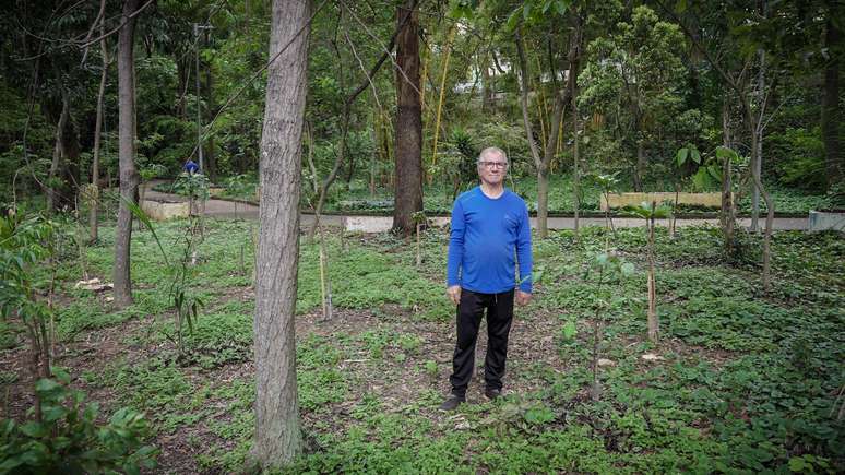 Hoje, o mesmo local est&aacute; densamente vegetado