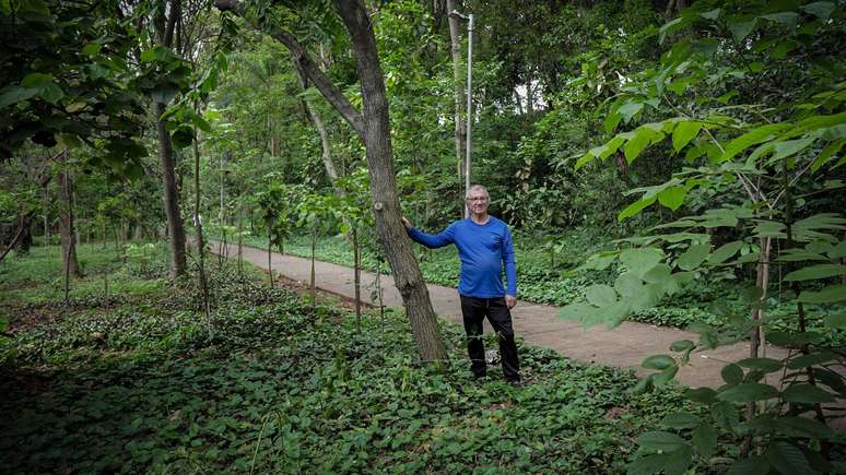 Quase 20 anos depois, a mesma &aacute;rvore cresceu e ajudou a pintar de verde essa regi&atilde;o de SP