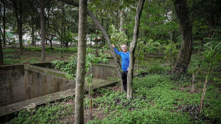 Quase duas d&eacute;cadas depois, o mesmo local est&aacute; repleto de &aacute;rvores