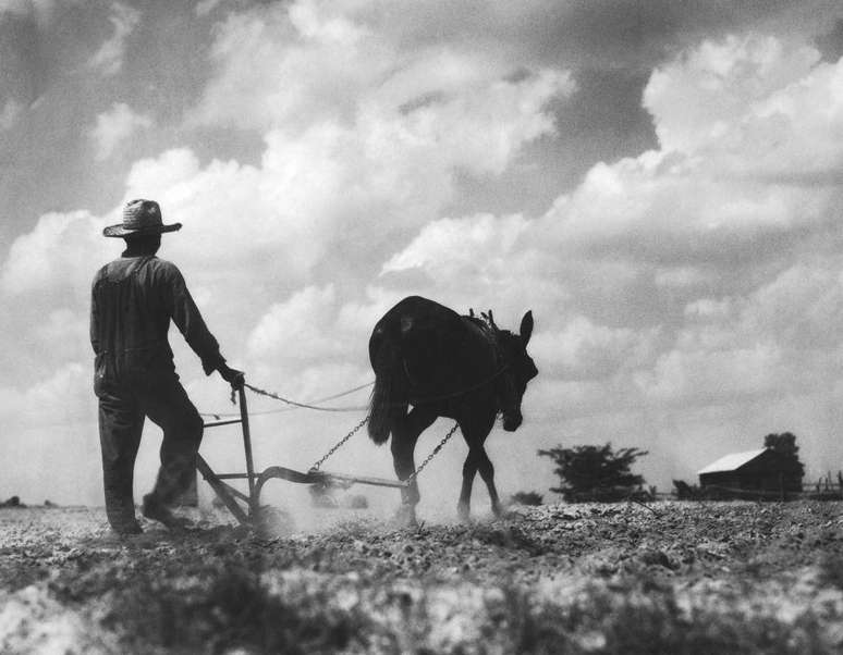 Os agricultores americanos pressionaram o governo para proteg&ecirc;-los nos anos 1930